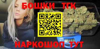 гидра Камышлов