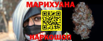 гидра Камышлов