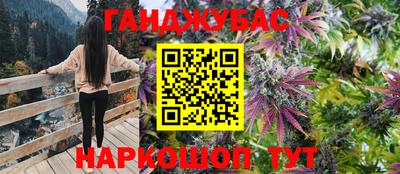 гидра Камышлов