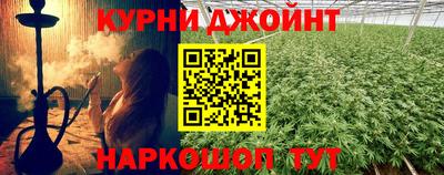 гидра Камышлов