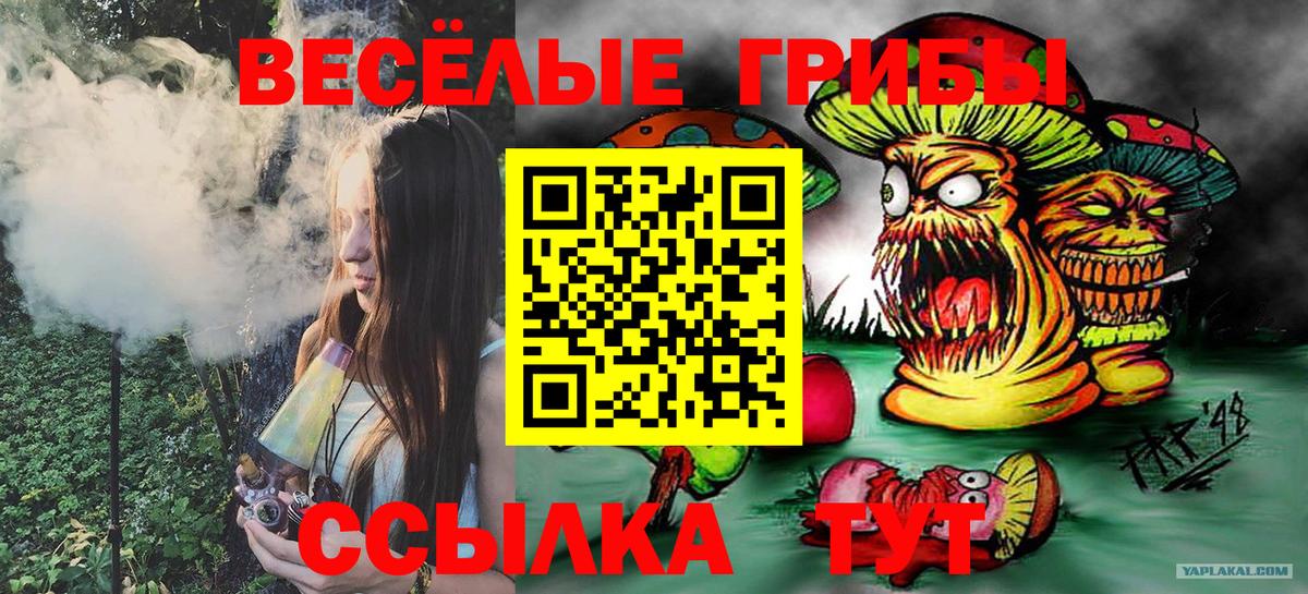 купить наркотик  Вход с VPN  Красный Сулин  Галлюциногенные грибы GOLDEN TEACHER  Галлюциногенные грибы мухоморы 
