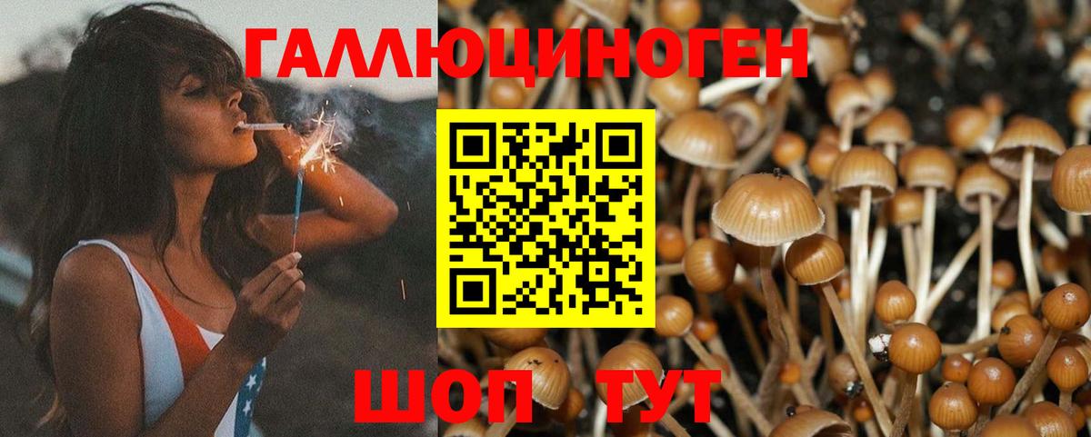 Галлюциногенные грибы мухоморы Красный Сулин